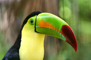 belize4.jpg