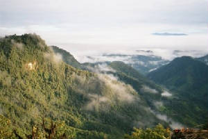 bellavista3.jpg