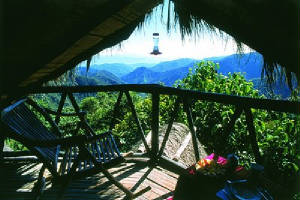 bellavista4.jpg