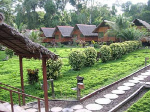 ecoamazonia.jpg