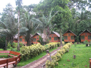 ecoamazonia2.jpg