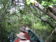 ecoamazonia3.jpg