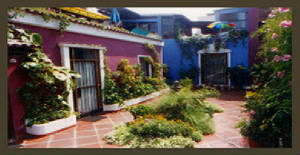 elpatio2.jpg