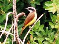 belize15.jpg