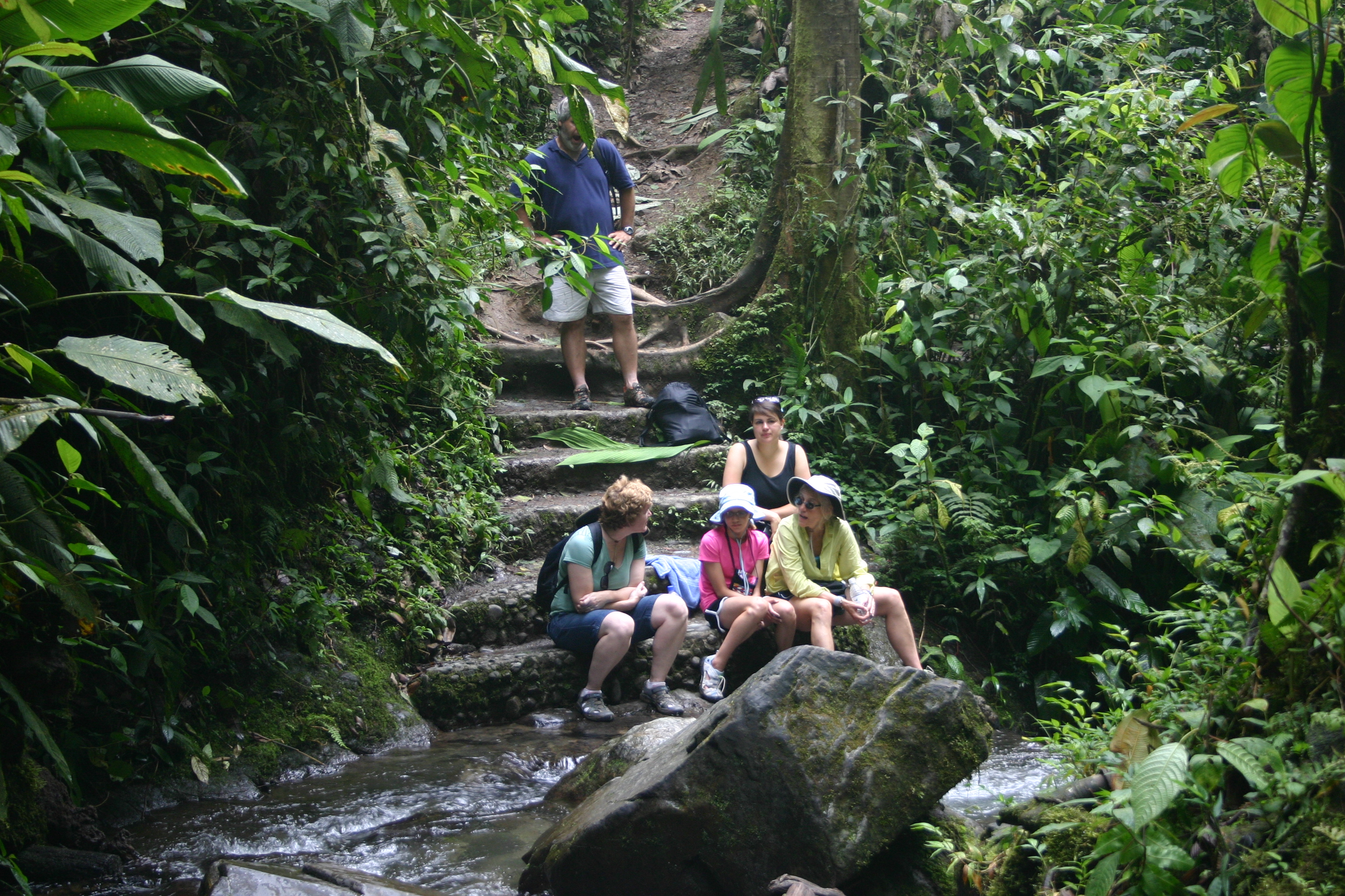 cloudforest3.jpg