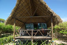 loscardones2.jpg