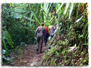 walkingtrails.jpg